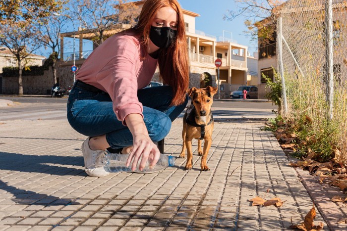 ペットボトルの水をかける様子、犬と女性