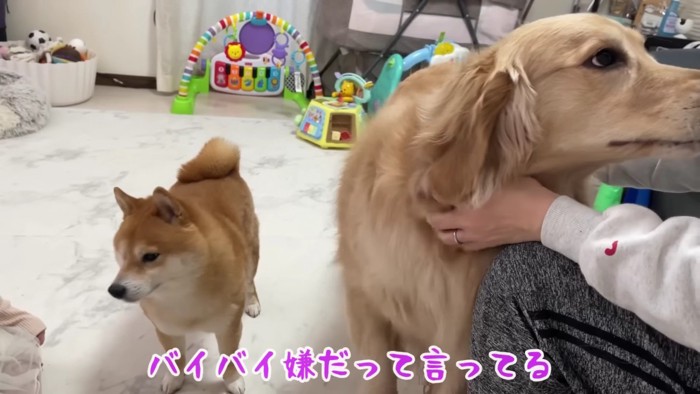 「バイバイしないで！」