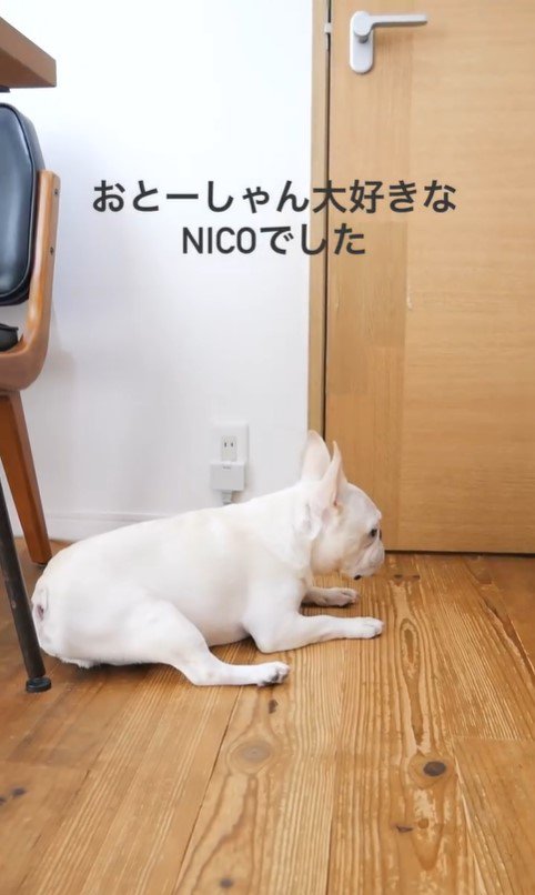 お父さんが2階にいるときのnicoくん10