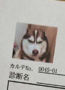 「絶対に許さない…」