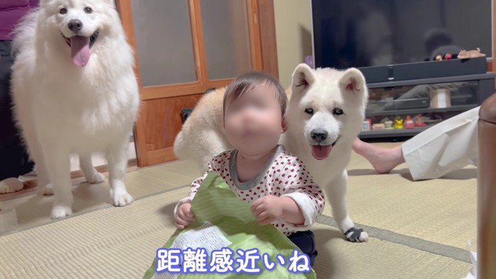 家族の平和な姿にほっこり