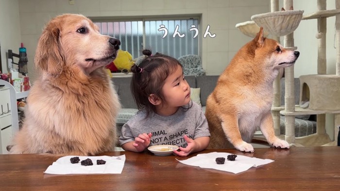 じっと見つめる3兄妹