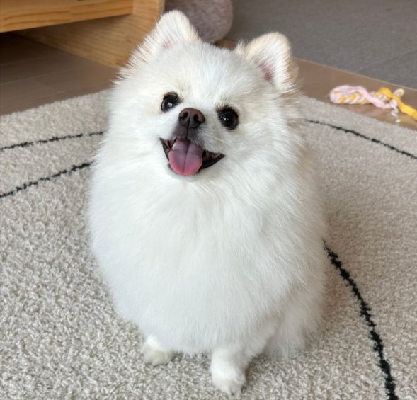 素敵な