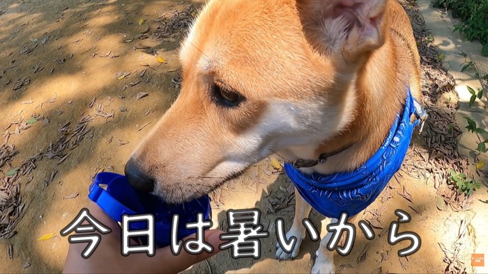 しっかり水分補給