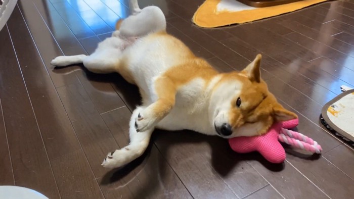 野性味ゼロ！