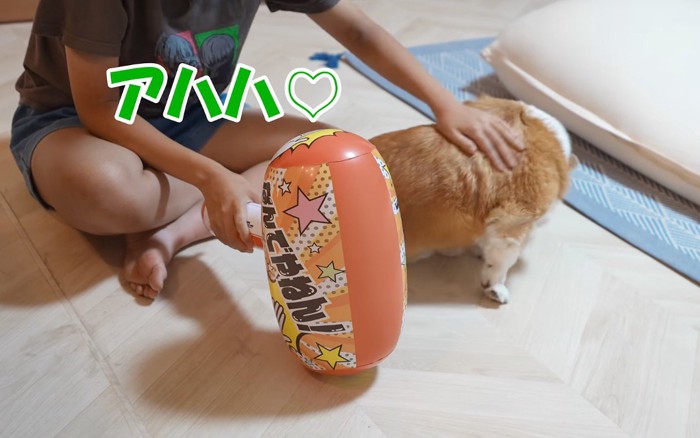 ビニールハンマーを持ちながら犬を撫でる女の子