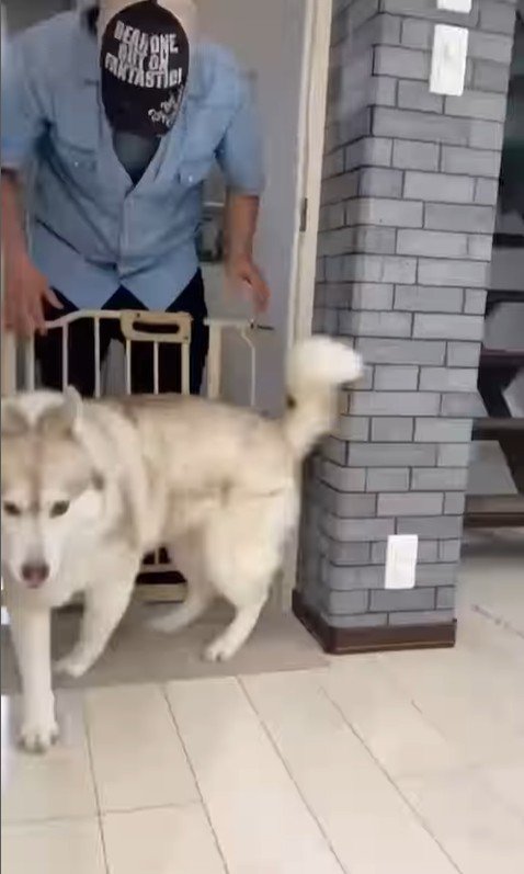 寧々ちゃん＆茶々ちゃんのお出迎え⑩