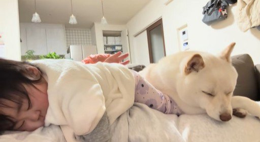 福丸くんとママと赤ちゃん5