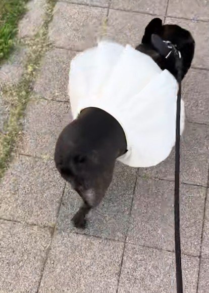 全然気にしないマリンちゃんでした