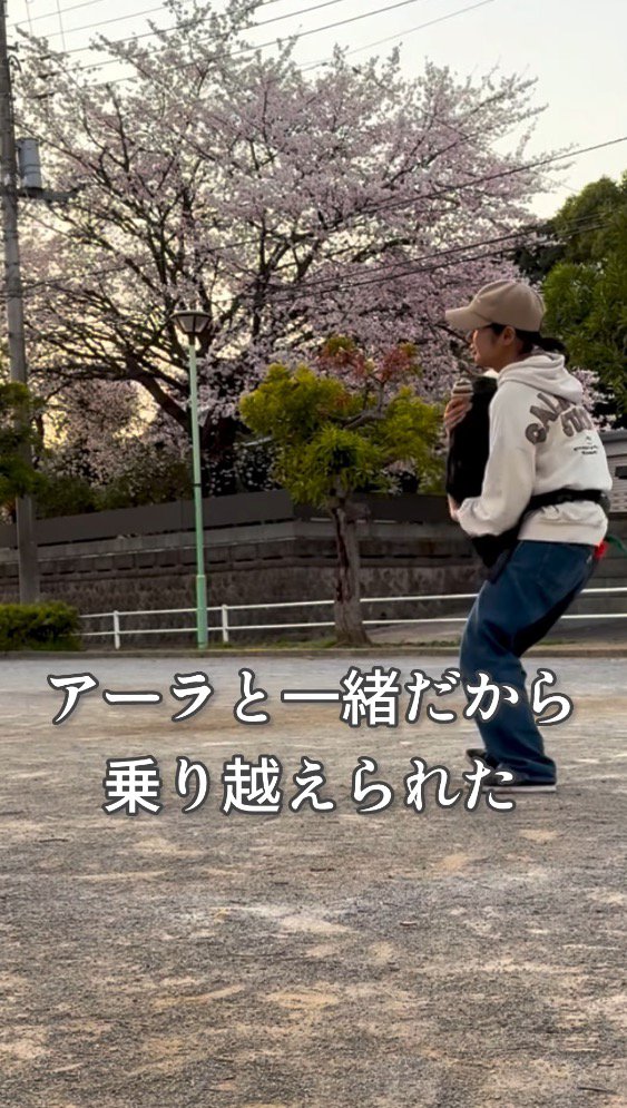 飼い主の腕の中にジャンプする犬