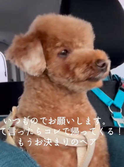 定番スタイルに！