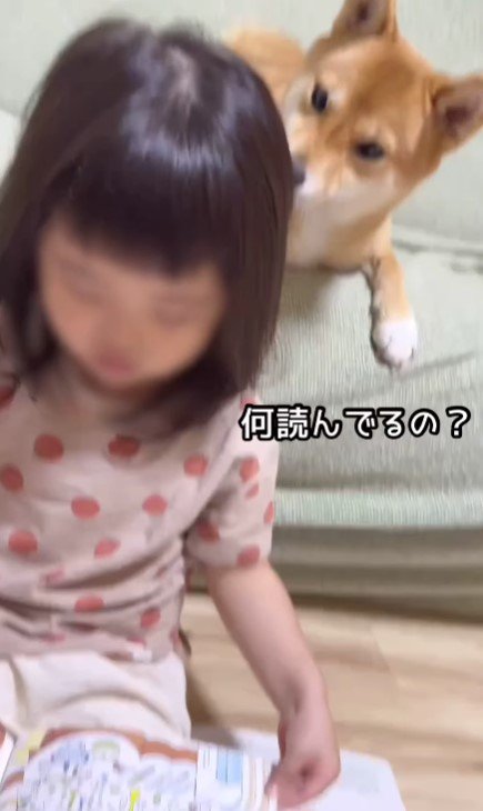 「なに読んでるの？」