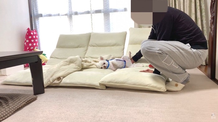 それでも起きません!