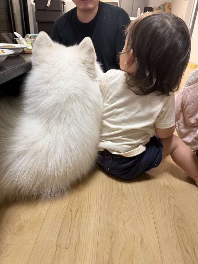 後ろ姿