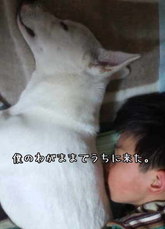 家族として迎えることを決意