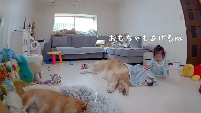 おもちゃを置いてあげる一幕も