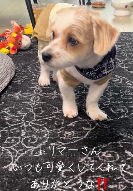 さっぱりとした風貌に♡