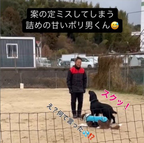 訓練中に乱入するポリくん8