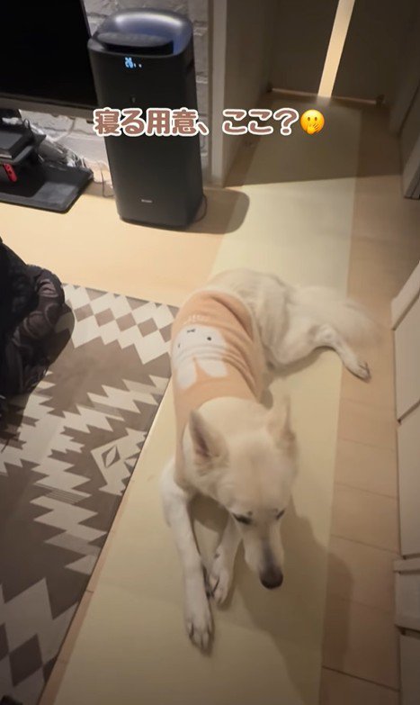 れお君の表情の変化7