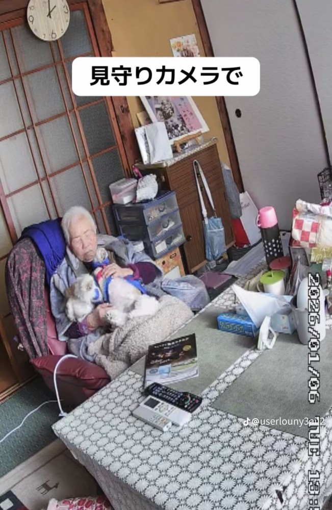 犬をなでるおばあちゃん1