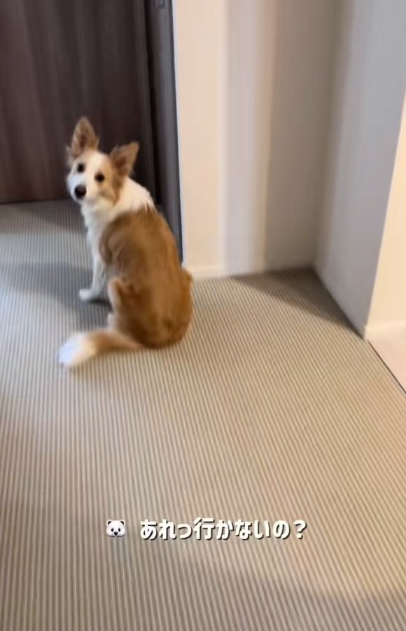 疑うソラくん