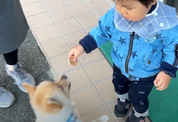 おやつを持った子どもと犬