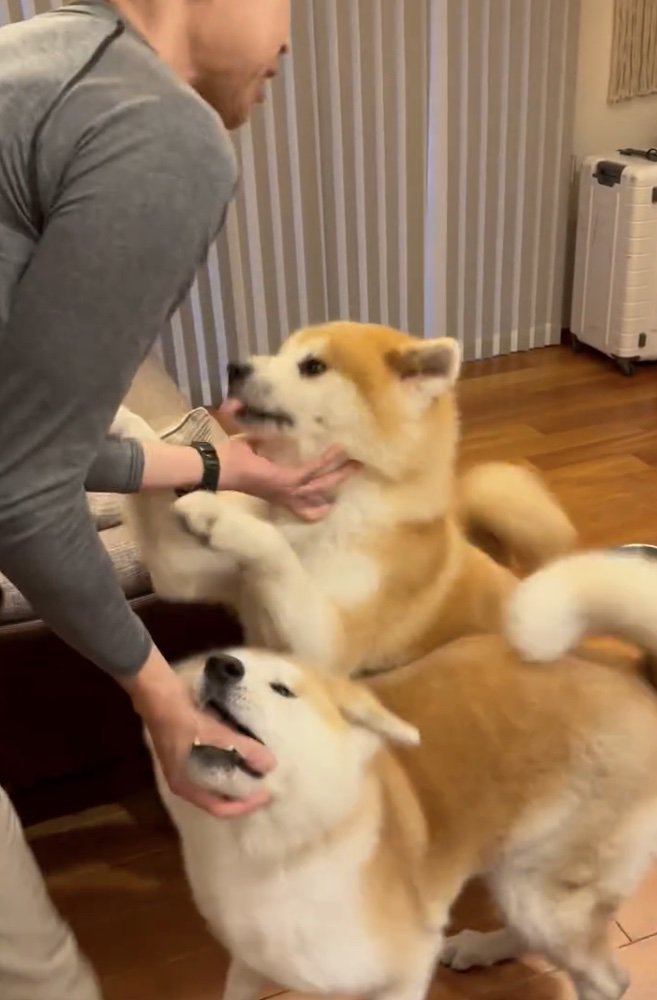 ご飯よりパパ