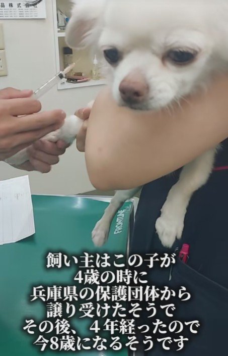 今回が2度目の保護だった