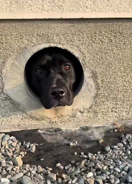 目が合った！！