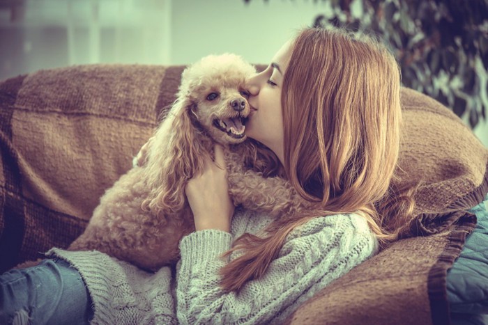 犬と遊ぶ飼い主