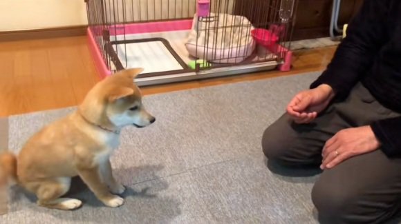 おすわりするみなみちゃん