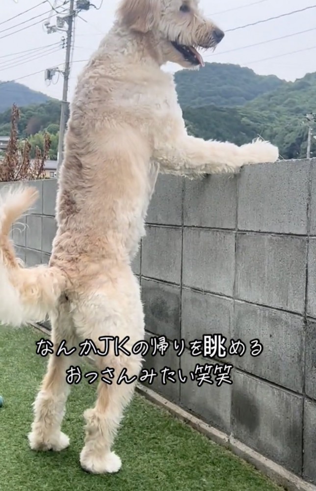 美しすぎるつかまり立ち