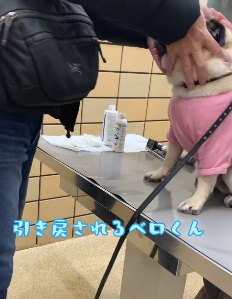 診察台の上で緊張状態に…