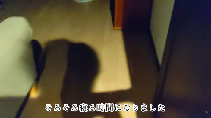 パパさんが寝室に行くと…