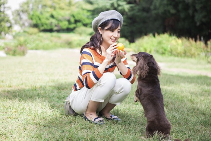 犬と遊ぶ女性