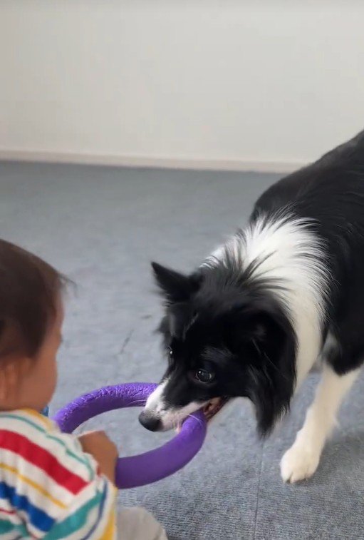 一緒に遊ぶヒマちゃんと赤ちゃん4