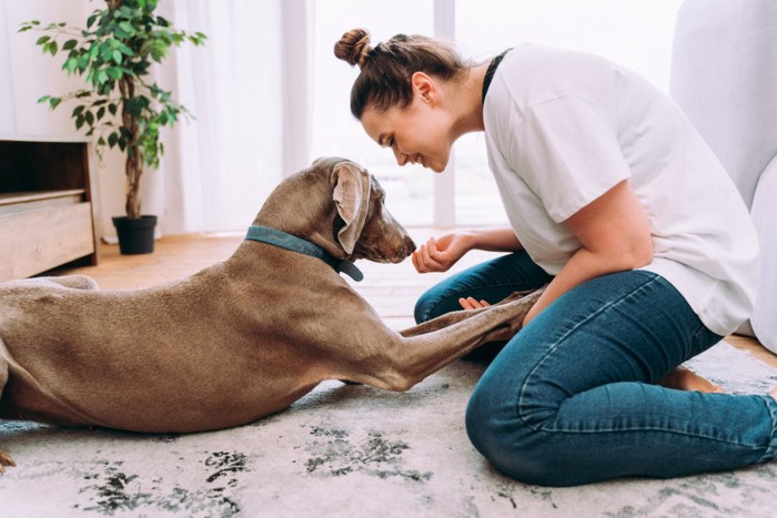 愛犬と遊ぶ女性