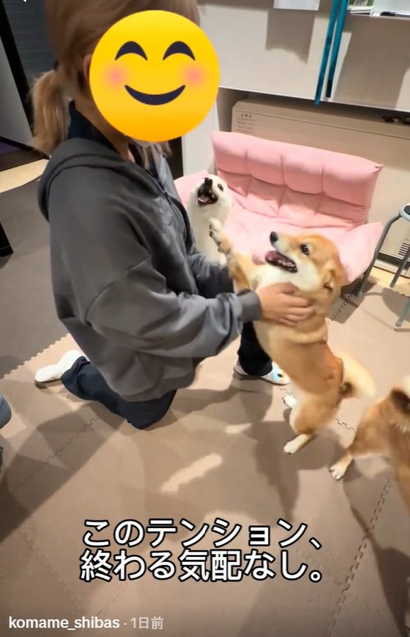 狂喜乱舞の3姉弟