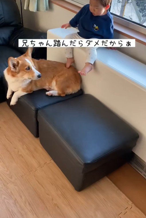 男の子が段差を降りる時のサクくん2