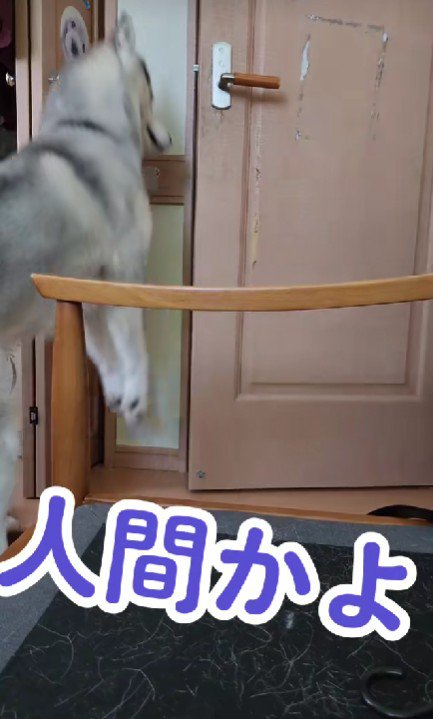 普通に開けた！