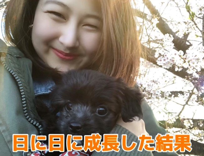 アイドルみたいな犬になりそう♡