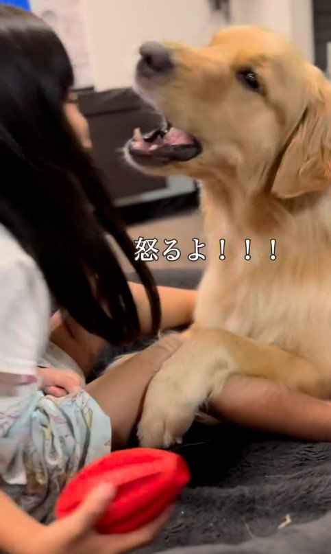 女の子とシンバくんのやり取り6