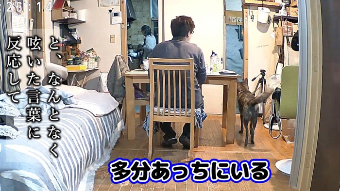 数ヶ月前、パパさんが「マメは?」と聞くと…