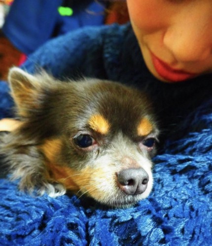 辛すぎる現実が