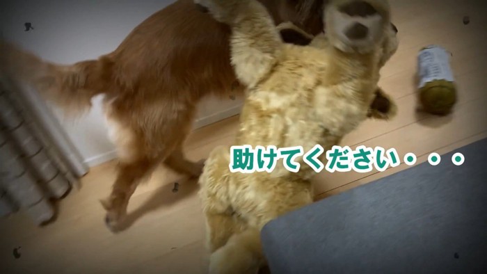 嫉妬するよもぎちゃん3