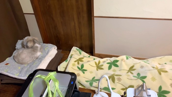 そのまま寝てくれるかと思いきや…