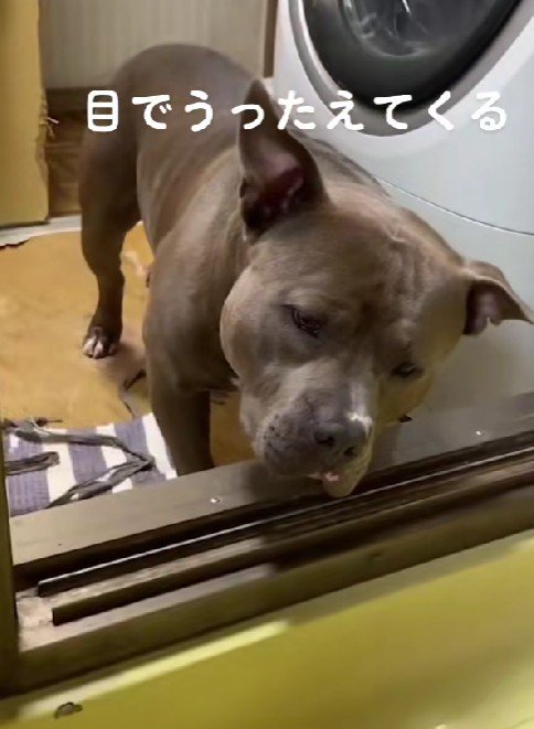 「どうしよう…」