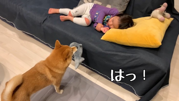 妹に気づいた花子ちゃん