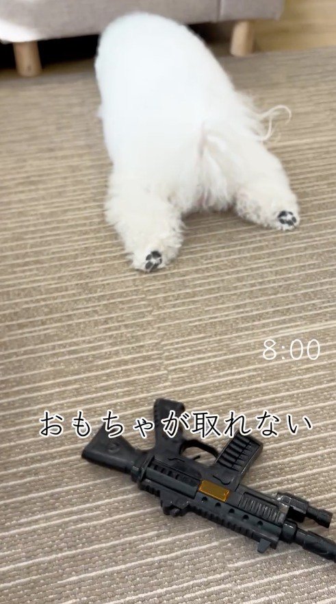 ソファーの下の隙間に顔を入れる犬