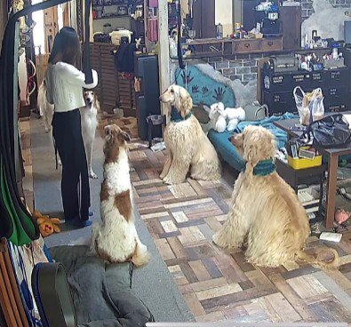 かっこいい長女に感嘆!